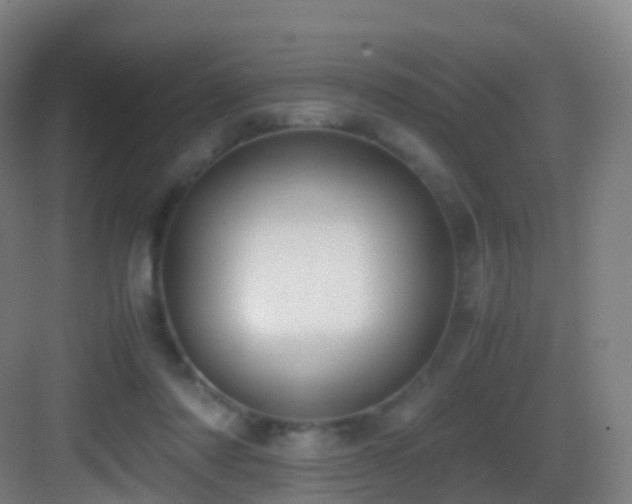 X0000083560310200702091131