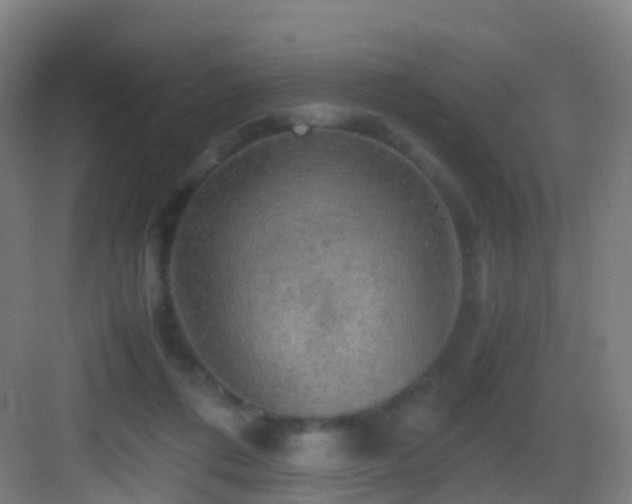 X0000083560312200702091131