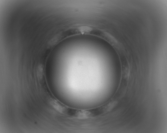 X0000083560321200702091131