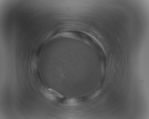 X0000083560325200702091131