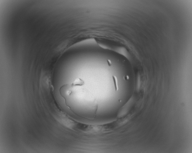 X0000083560329200702091131
