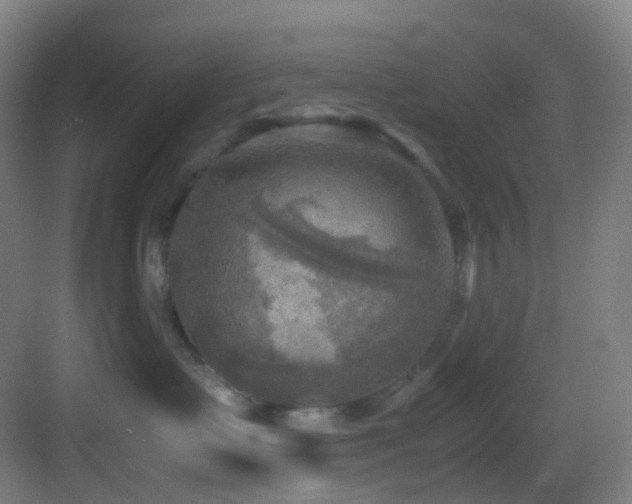 X0000083560335200702091131