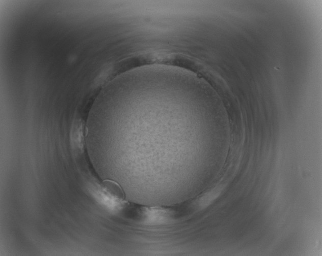 X0000083560336200702091131