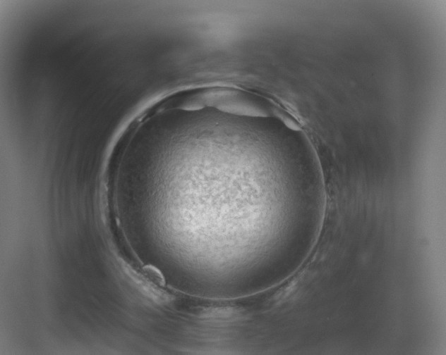 X0000083560342200702091130