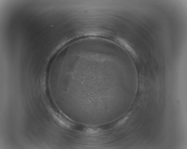 X0000083560346200702091130