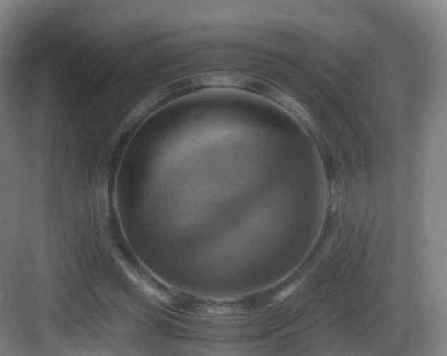 X0000083560349200702091130