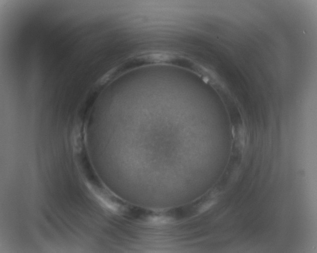 X0000083560360200702091131