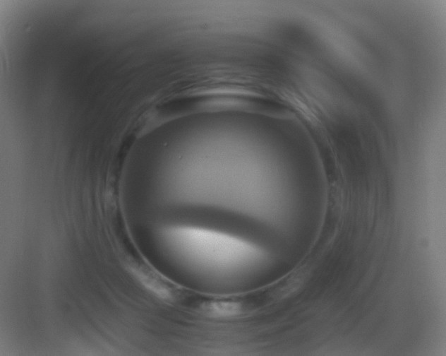 X0000083560361200702091131