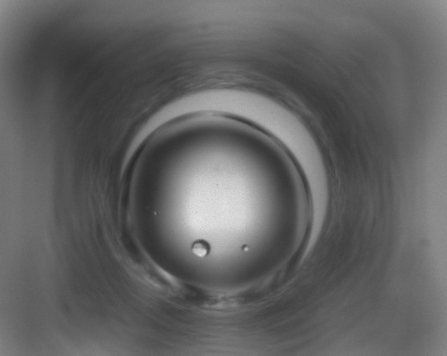 X0000083560362200702091131
