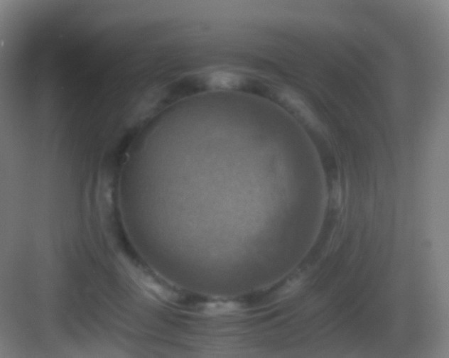 X0000083560363200702091131