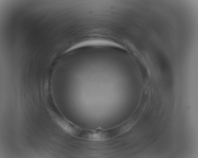 X0000083560365200702091131
