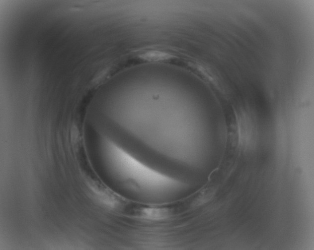 X0000083560371200702091131