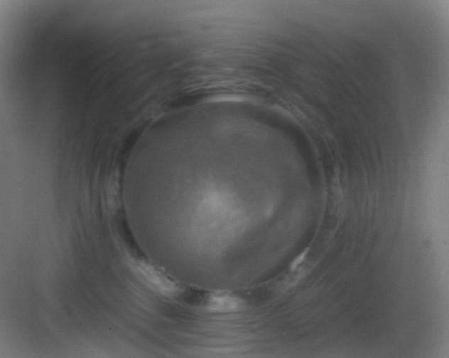 X0000083560376200702091131