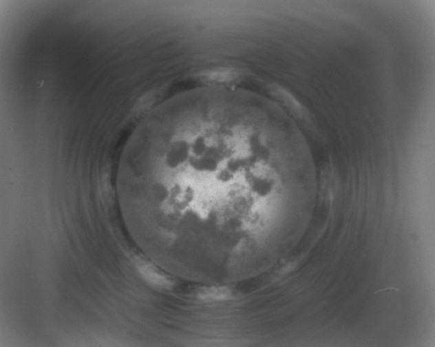 X0000083560377200702091131