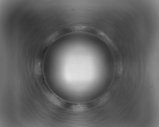 X0000083560378200702091131