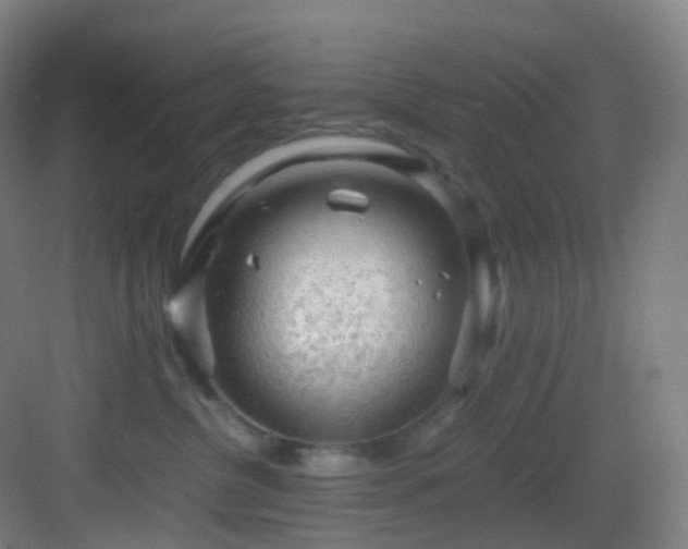 X0000083560380200702091131