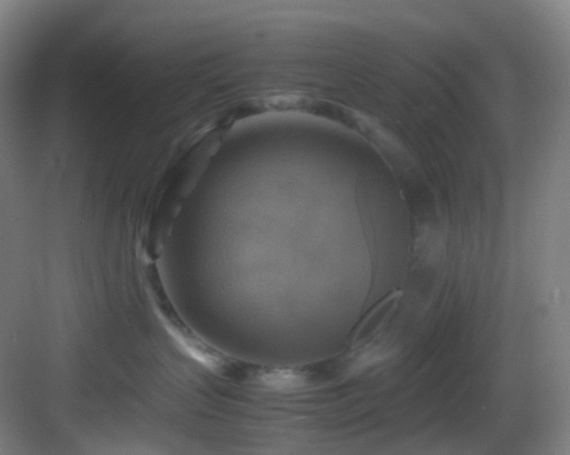 X0000083560383200702091131