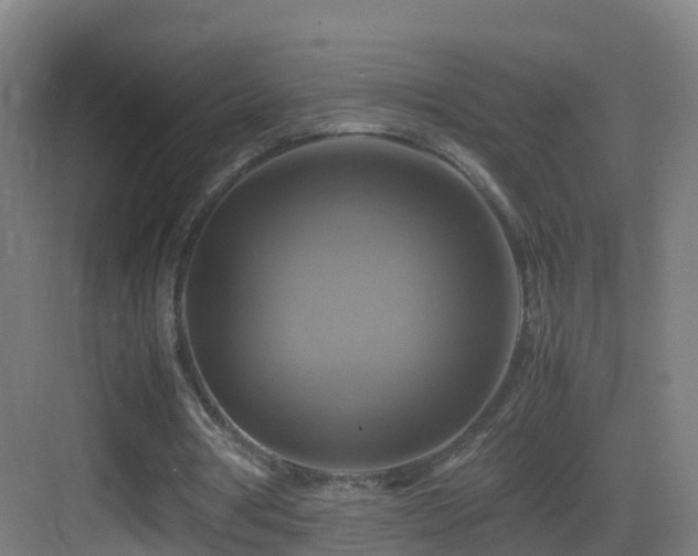X0000083560386200702091130