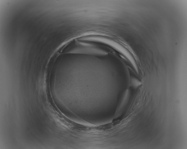 X0000083560387200702091130
