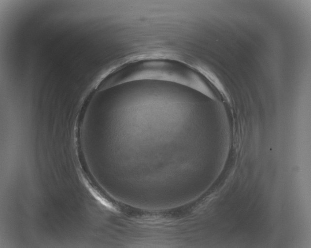 X0000083560389200702091130