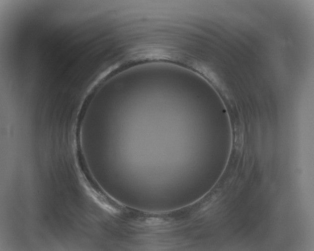 X0000083560390200702091130