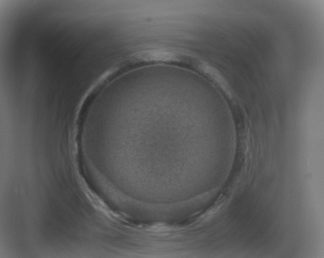 X0000083560395200702091130