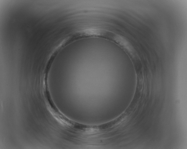 X0000083560398200702091130