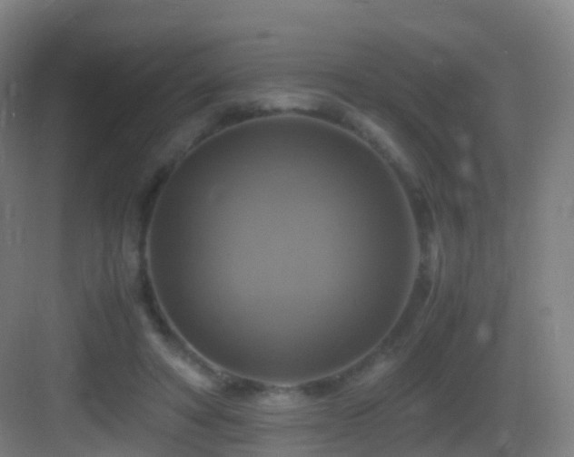 X0000083560402200702091130