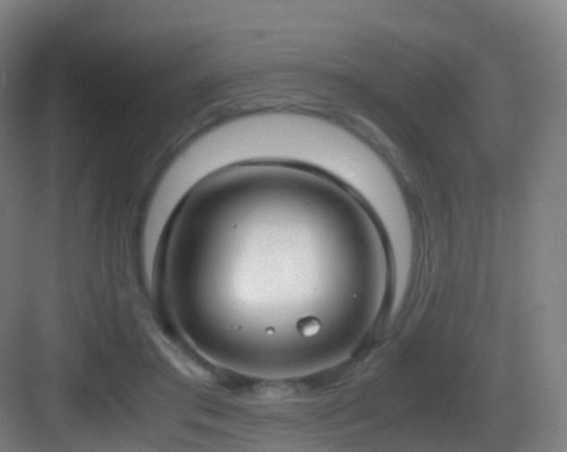 X0000083560405200702091130