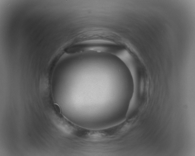 X0000083560407200702091130