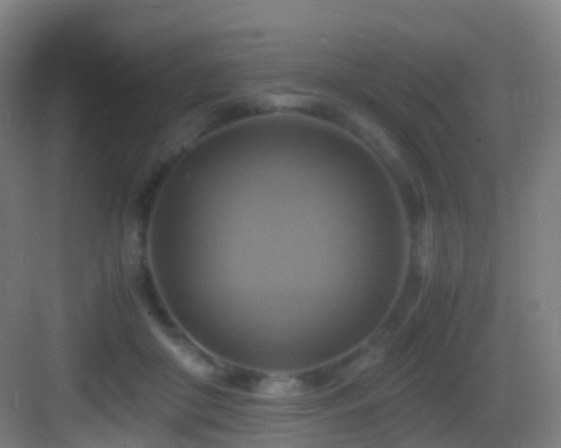 X0000083560410200702091130