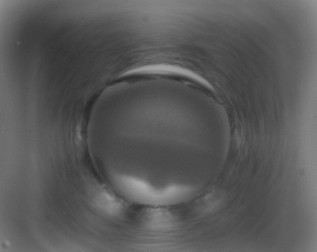X0000083560424200702091130