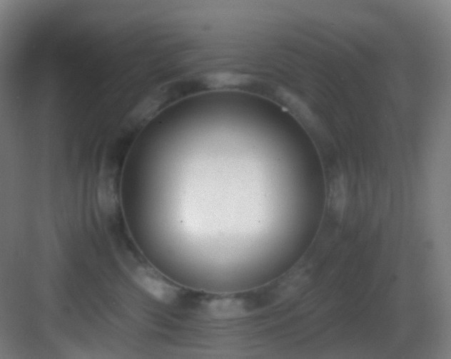 X0000083560426200702091130