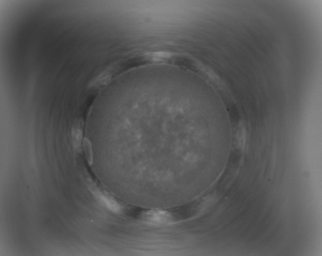 X0000083560427200702091130