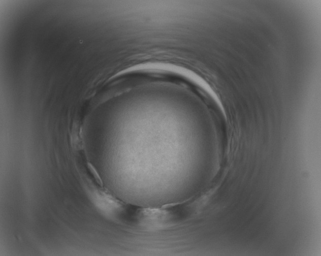 X0000083560429200702091129