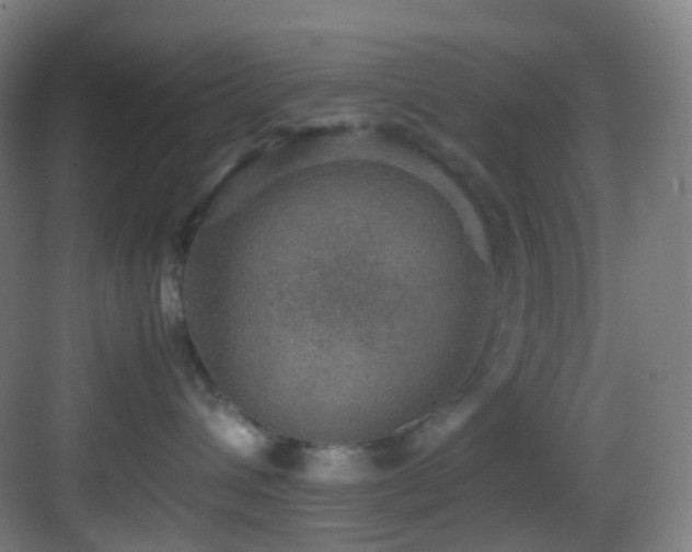 X0000083560432200702091129