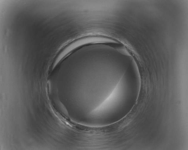 X0000083560434200702091129