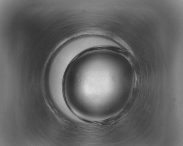 X0000083560436200702091129