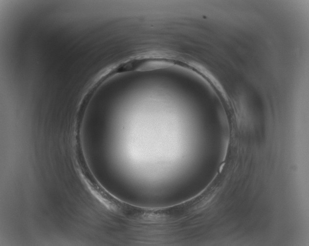 X0000083560437200702091129