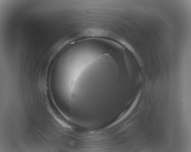 X0000083560438200702091129