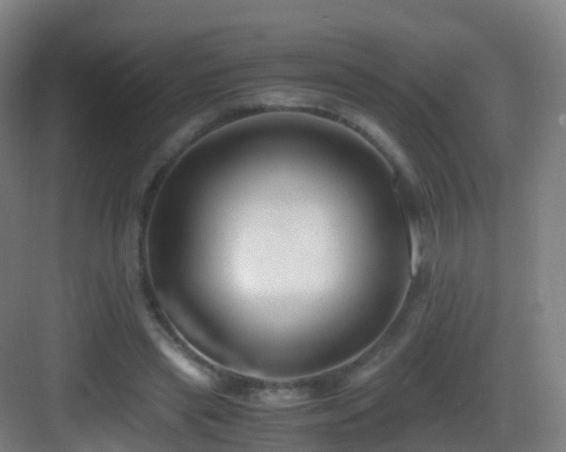 X0000083560445200702091129