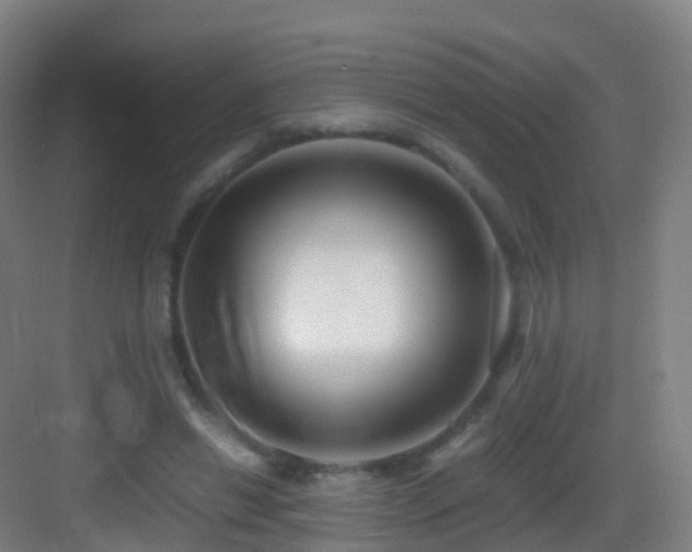 X0000083560446200702091129