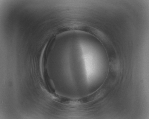 X0000083560458200702091129