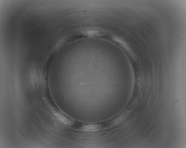X0000083560461200702091129