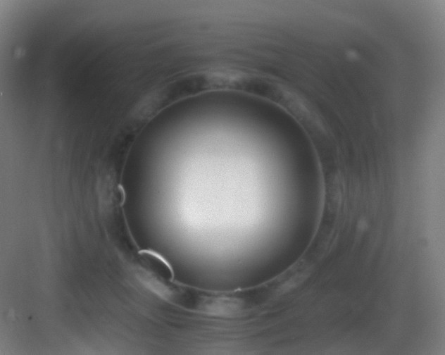 X0000083560463200702091129