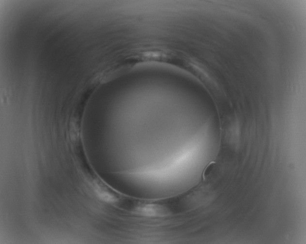X0000083560467200702091129