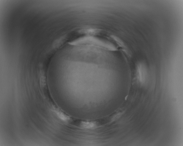 X0000083560469200702091129