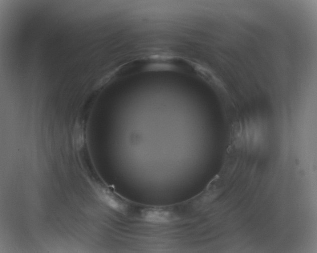 X0000083560471200702091129
