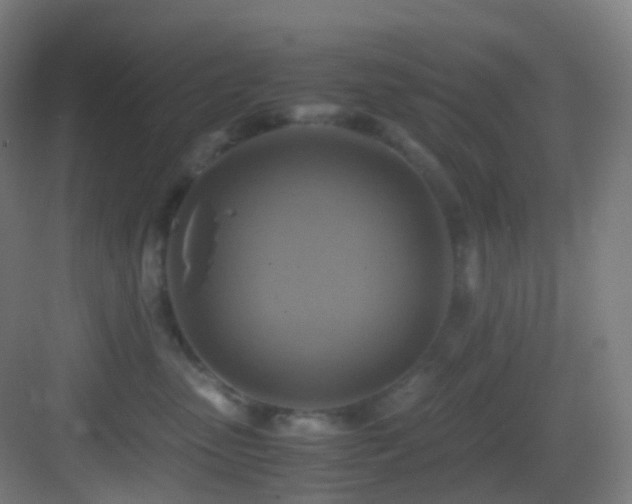 X0000083560475200702091129
