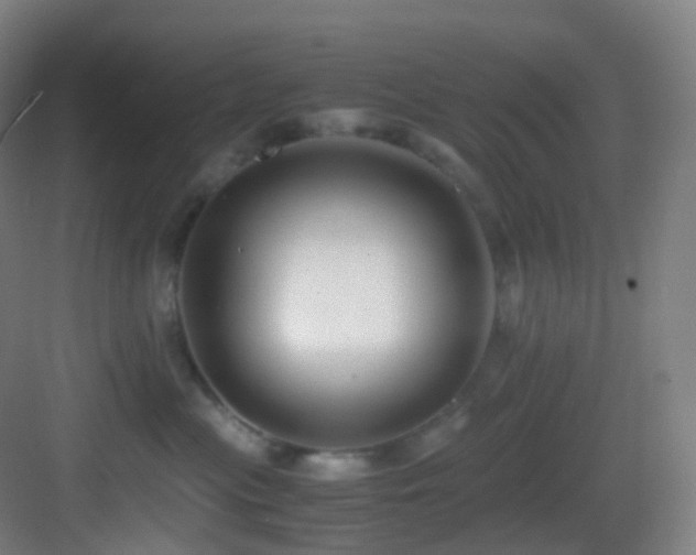 X0000083560477200702091129